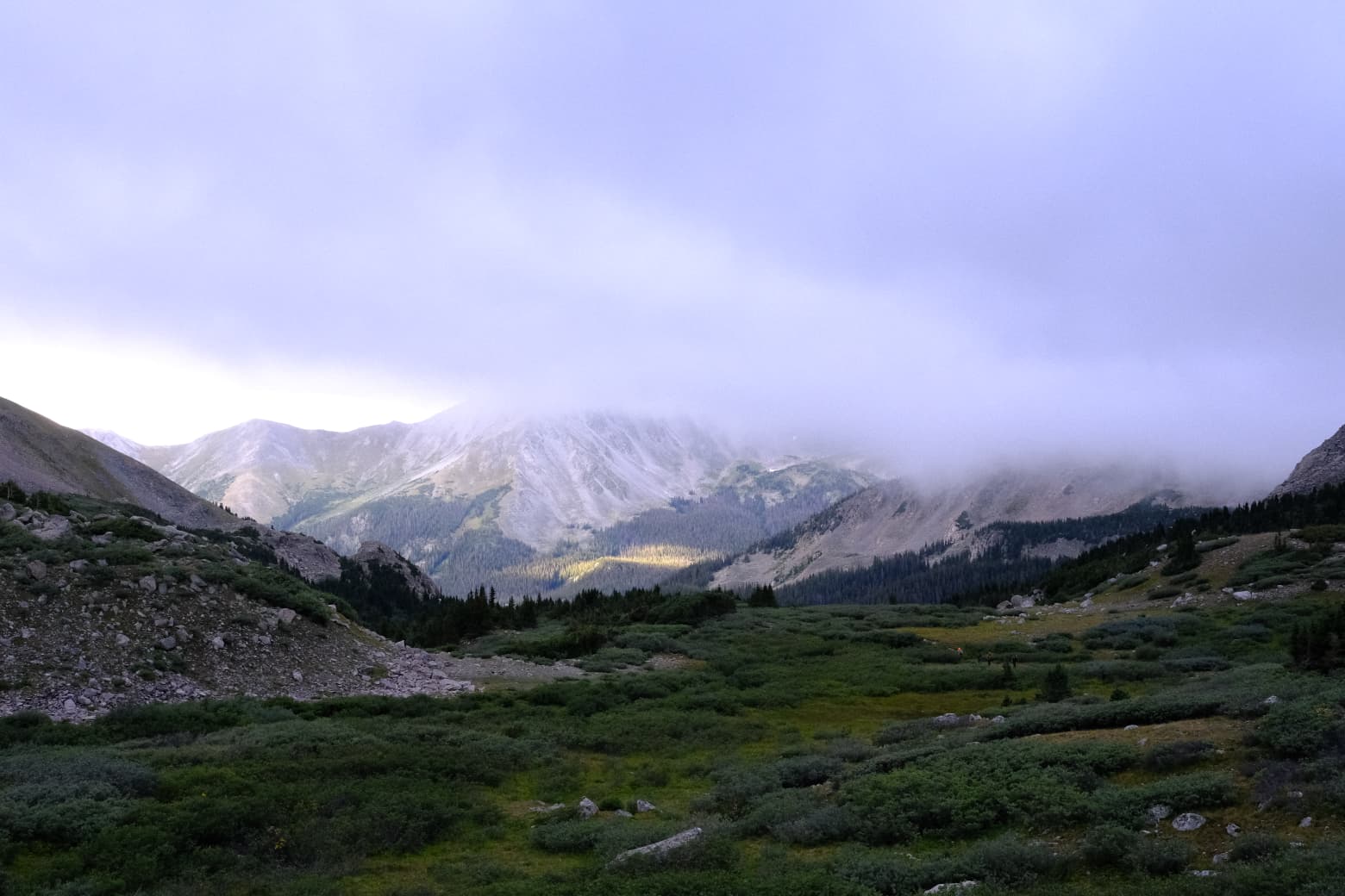 Landscape